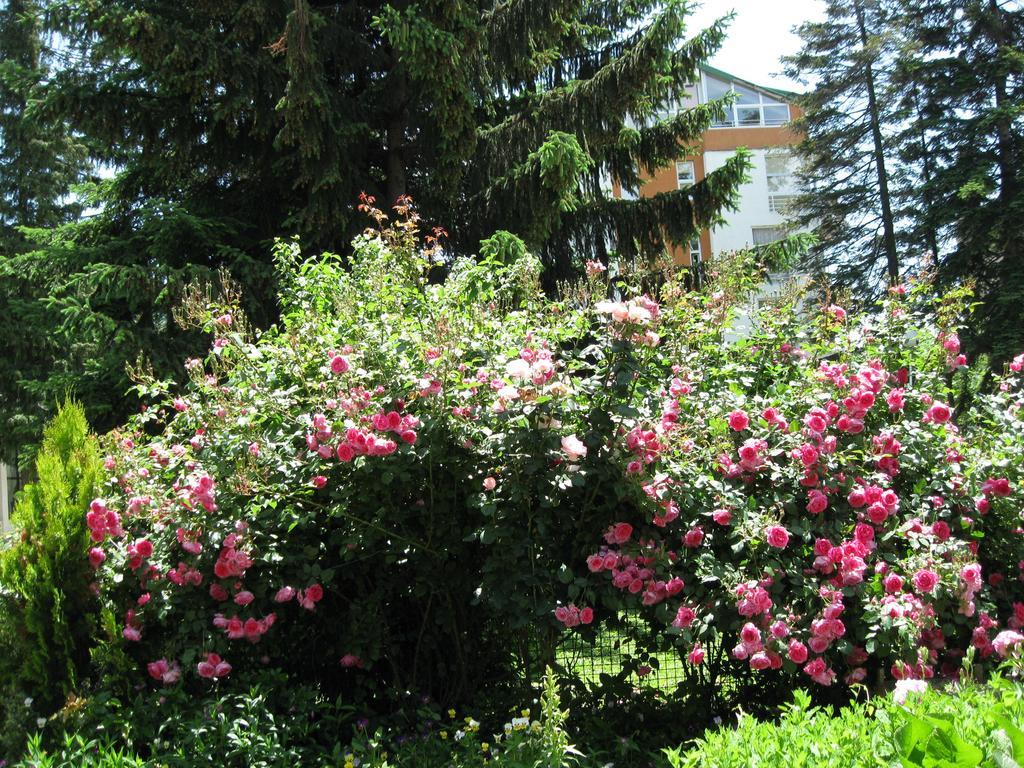 Villa Jordan Ohrid Luaran gambar