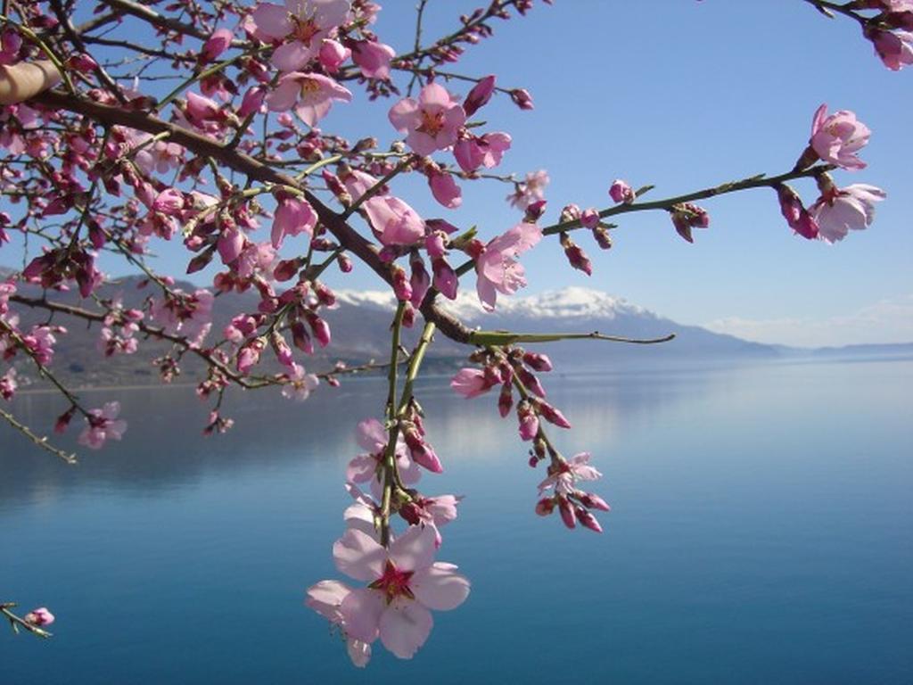 Villa Jordan Ohrid Luaran gambar