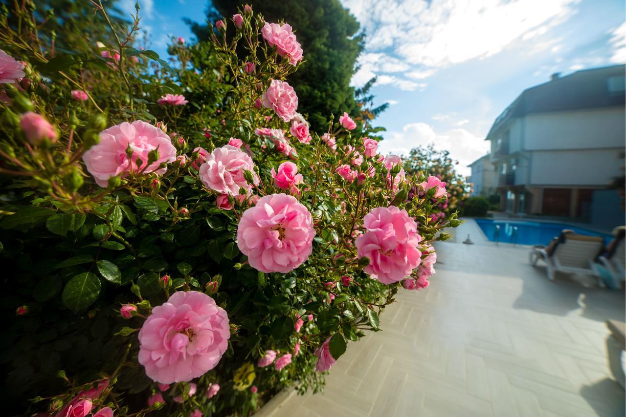 Villa Jordan Ohrid Luaran gambar